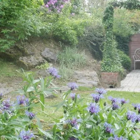 Maison Cosy Avec Jardin, Cheminee, Wi-Fi Et Animaux Admis A Willies - Fr-1-510-101 Exterior photo