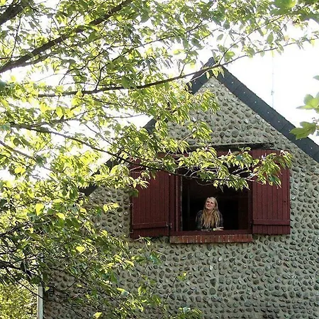 Maison Cosy Avec Jardin, Cheminee, Wi-Fi Et Animaux Admis A Willies - Fr-1-510-101 Exterior photo