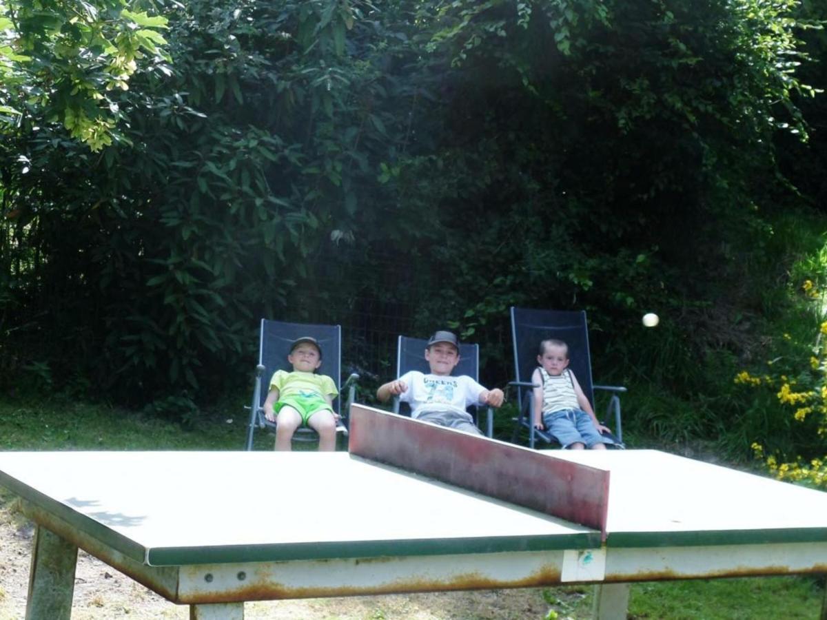 Maison Cosy Avec Jardin, Cheminee, Wi-Fi Et Animaux Admis A Willies - Fr-1-510-101 Holiday home *