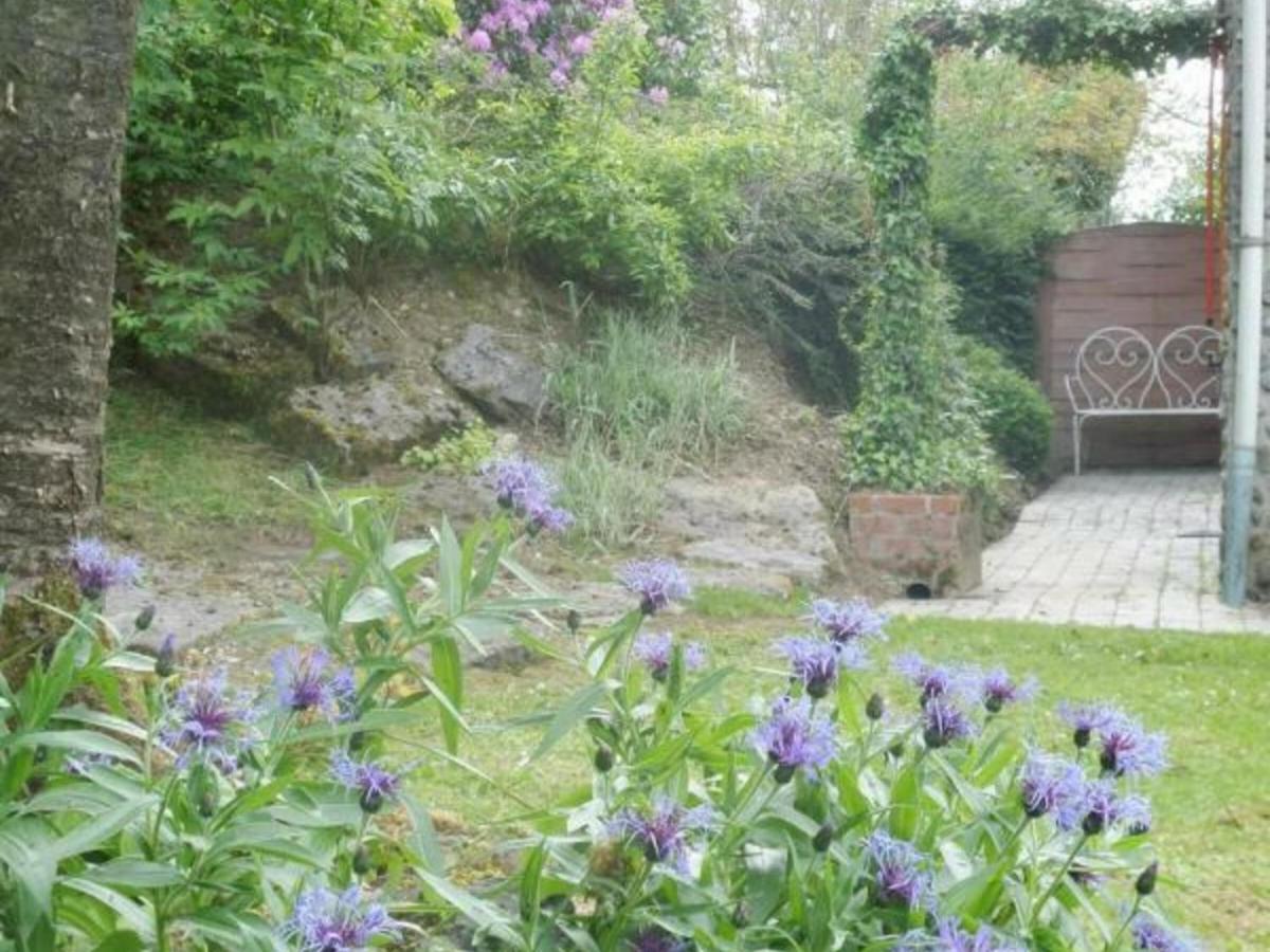 Maison Cosy Avec Jardin, Cheminee, Wi-Fi Et Animaux Admis A Willies - Fr-1-510-101 Willies